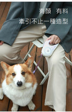 將圖片載入圖庫檢視器 發光狗狗牽引繩 適合中小型犬 帶燈自動伸縮遛狗繩 狗鏈 外出寵物用品 3米長 5米長