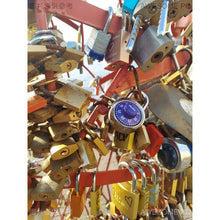 將圖片載入圖庫檢視器 Master Lock 美國 密碼鎖 1514D 固定轉盤 健身房 門鎖 保險柜 掛鎖